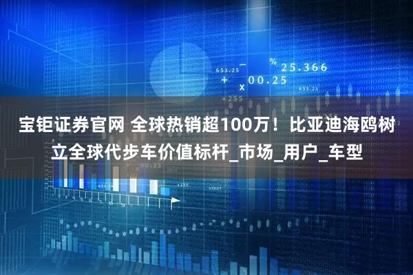 宝钜证券官网 全球热销超100万！比亚迪海鸥树立全球代步车价值标杆_市场_用户_车型