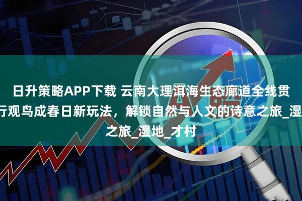 日升策略APP下载 云南大理洱海生态廊道全线贯通：骑行观鸟成春日新玩法，解锁自然与人文的诗意之旅_湿地_才村