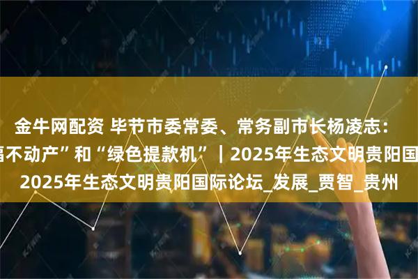 金牛网配资 毕节市委常委、常务副市长杨凌志： 绿水青山成为了“幸福不动产”和“绿色提款机”｜2025年生态文明贵阳国际论坛_发展_贾智_贵州
