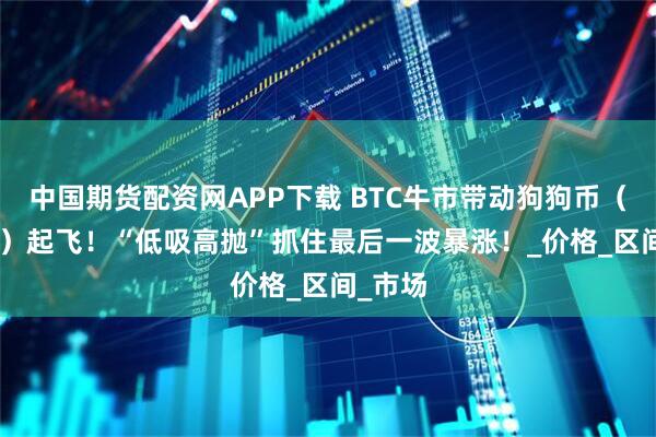 中国期货配资网APP下载 BTC牛市带动狗狗币（DOGE）起飞！“低吸高抛”抓住最后一波暴涨！_价格_区间_市场