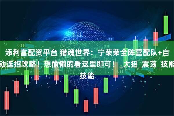 添利富配资平台 猎魂世界：宁荣荣全阵营配队+自动连招攻略！想偷懒的看这里即可！_大招_震荡_技能