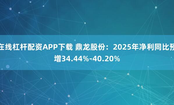 在线杠杆配资APP下载 鼎龙股份：2025年净利同比预增34.44%-40.20%
