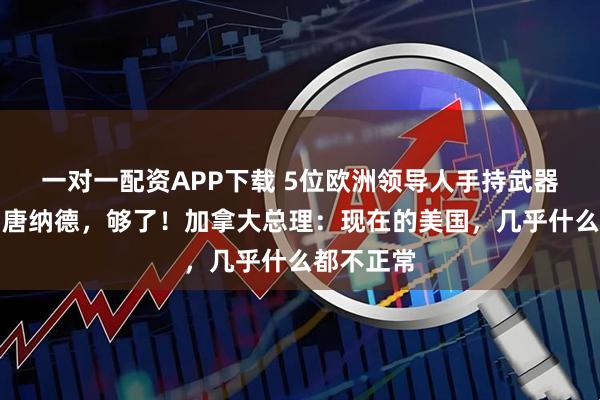 一对一配资APP下载 5位欧洲领导人手持武器，配文：唐纳德，够了！加拿大总理：现在的美国，几乎什么都不正常