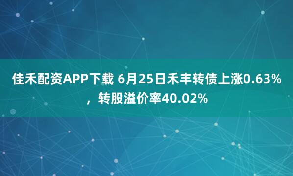 佳禾配资APP下载 6月25日禾丰转债上涨0.63%，转股溢价率40.02%